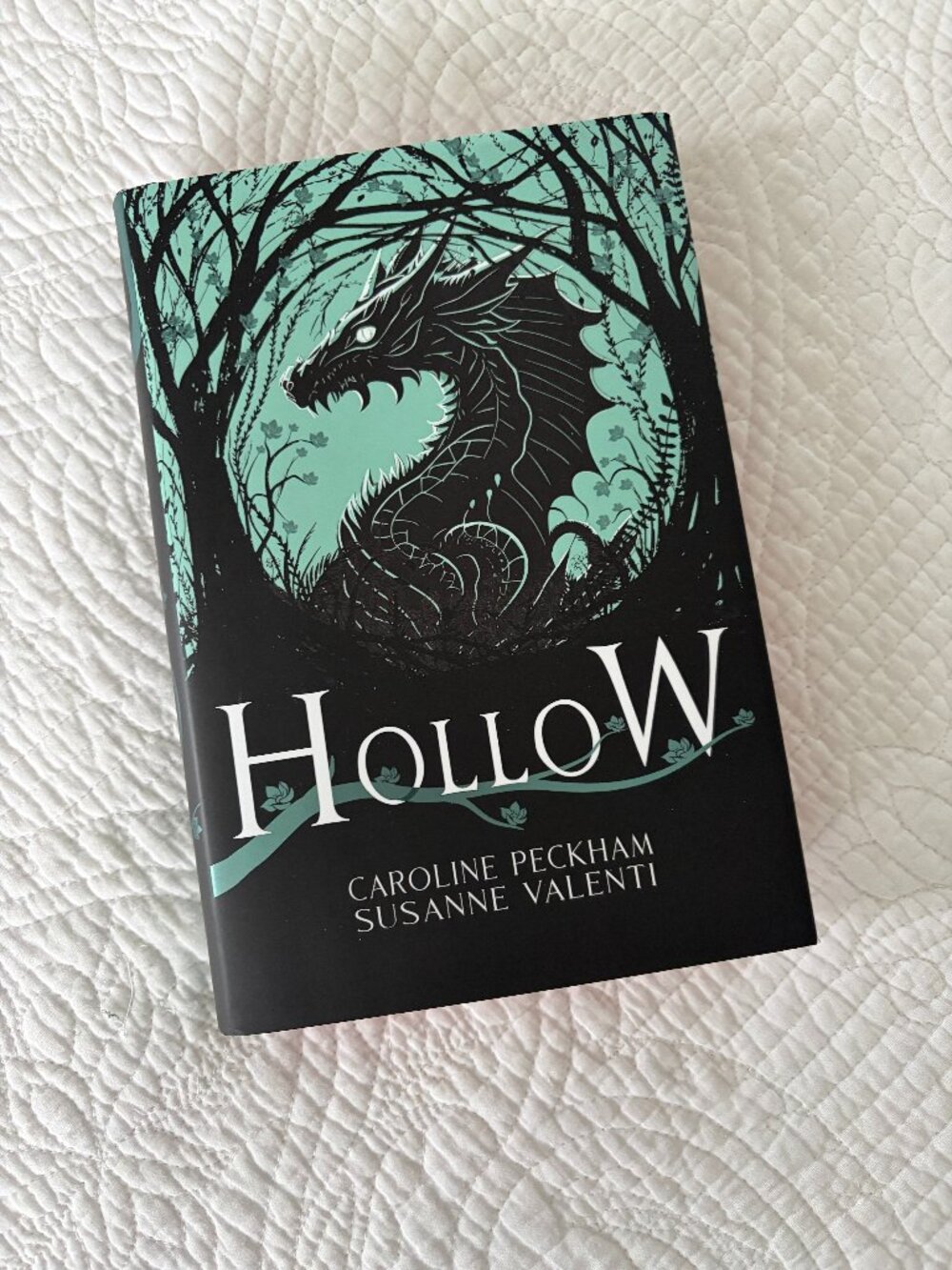 Hollow (Book 1 in the Crown of Hearts & Chaos series): Indigo Exclusive Edition